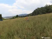 Teren intravilan cu PUZ si PUD 2 loturi 