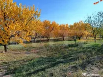 Teren Intravilan 6300 mp Magurele Prahova , Oportunitate !