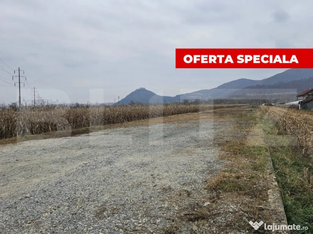 Oportunitate de Investiție de Top în Șoimuș - 2600 mp te