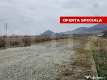 Oportunitate de Investiție de Top în Șoimuș - 2600 mp te