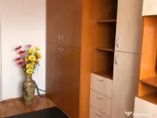 Garsoniera Calea Lipovei 