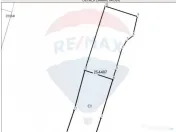 Casă 5 camere / str. Tudor Vladimirescu / 207 mp teren 