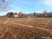 Teren intravilan de 1863 mp in Avrig zona Valea Avrigului 