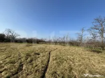 Teren intravilan, 500 mp, zona Beregsau Mare
