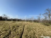 Teren intravilan, 500 mp, zona Beregsau Mare