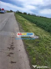 Teren Moara Vlasiei 65000 mp Industrial utilitati apropiere 