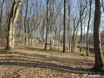 Teren cu sufrafata de 1100 mp in Padurea Faget