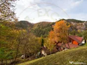 VANZARE / SCHIMB PENSIUNE in zona de munte, langa Pestera M 