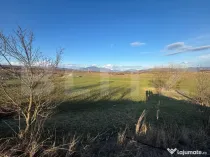 Teren extravilan 1000 mp, zona Livezile