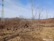 Resita, Teren Extravilan, Pretabil pentru Fotovoltaice, 1726 