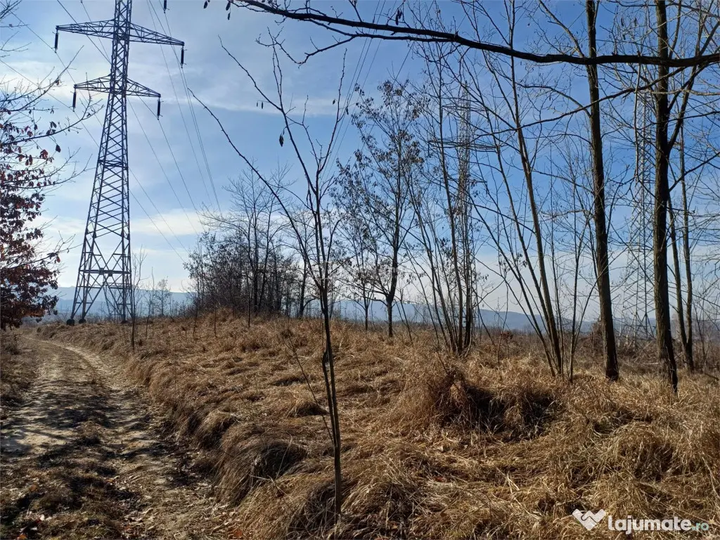 Resita, Teren Extravilan, Pretabil pentru Fotovoltaice, 1726