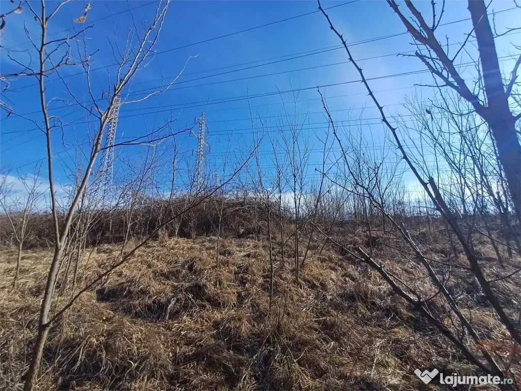 Resita, Teren Extravilan, Pretabil pentru Fotovoltaice, 1726