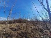 Resita, Teren Extravilan, Pretabil pentru Fotovoltaice, 1726 