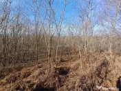 Resita, Teren Extravilan, Pretabil pentru Fotovoltaice, 1726 