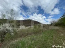Vând 17 ha teren extravilan, Carmazanesti