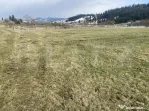 Teren intravilan de vanzare, 12.500 mp, zona Vatra Dornei, P