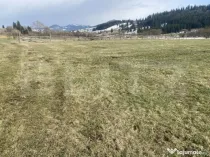 Teren intravilan de vanzare, 12.500 mp, zona Vatra Dornei, P