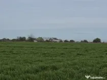 Vanzari terenuri in Agigea zona Golful Pescarului