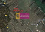 Săbăreni, teren intravilan construibill, la 300 m de p?...