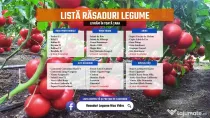 Rasaduri * Rasad rosii Rila, Prekos, Inima de bou, Vinete, Ardei, etc