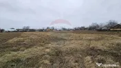 Casă / Vilă cu 12 camere, teren intravilan de 2869mp î... 