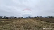 Casă / Vilă cu 12 camere, teren intravilan de 2869mp î... 