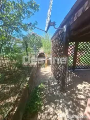 Urgent ocazie investitie casa 400mp+spatii comerciale, rezi 