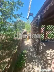 Urgent ocazie investitie casa 400mp+spatii comerciale, rezi 