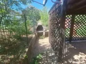 Urgent ocazie investitie casa 400mp+spatii comerciale, rezi 