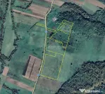 Forotic, Teren Drept Pentru Investitie, 13.2 Hectare (132.00