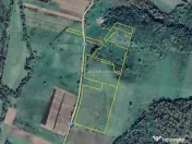 Forotic, Teren Drept Pentru Investitie, 13.2 Hectare (132.00 