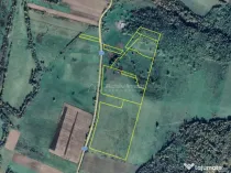 Forotic, Teren Drept Pentru Investitie, 13.2 Hectare (132.00