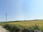 Forotic, Teren Drept Pentru Investitie, 13.2 Hectare (132.00 