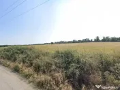 Forotic, Teren Drept Pentru Investitie, 13.2 Hectare (132.00 