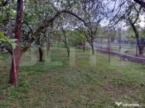 Teren, 600 mp, zona Bercu Rosu