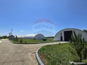 DE VANZARE | Hale | 1407mp | Teren 9344 | Potigrafu 