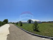 DE VANZARE | Hale | 1407mp | Teren 9344 | Potigrafu 