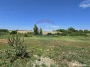 DE VANZARE | Hale | 1407mp | Teren 9344 | Potigrafu 