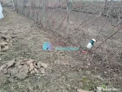 Teren intravilan 700 mp Sf. Ilie 