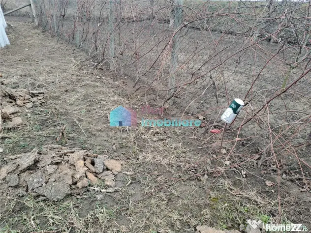 Teren intravilan 700 mp Sf. Ilie - Sfantu Ilie (Suceava)