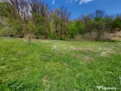 Casa spațioasă cu 6 camere și teren generos, lângă păd 