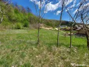 Casa spațioasă cu 6 camere și teren generos, lângă păd 