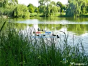 Teren intravilan de la 330mp, Sosea, langa Balta, Rate Dezvo 