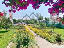 Vila si teren de 1500 mp/ Satu Nou/ Tecuci