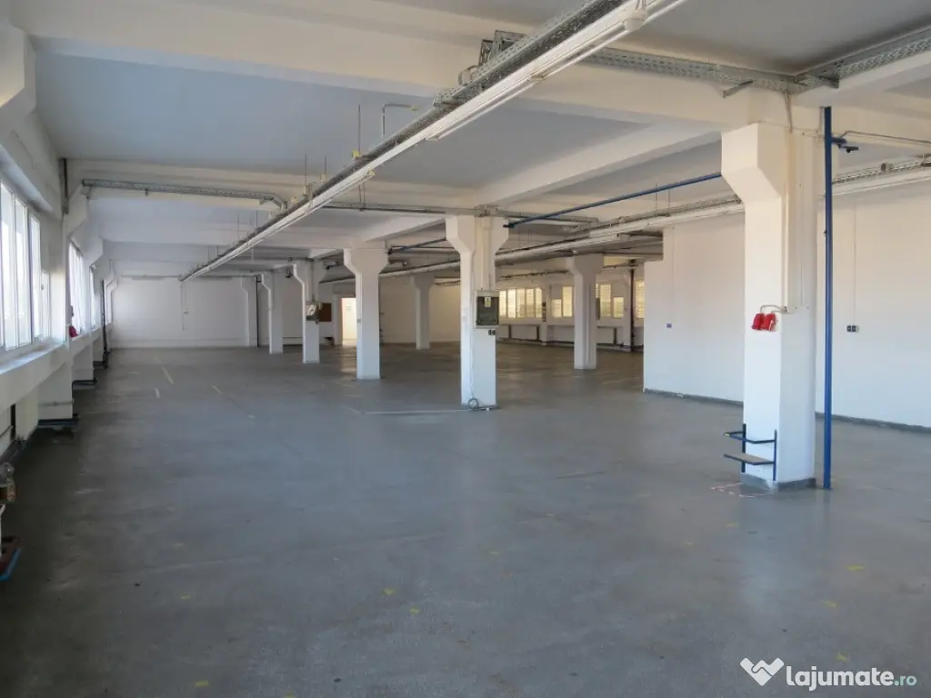 Cladire industriala in Curtea de Arges, 700000 EURO