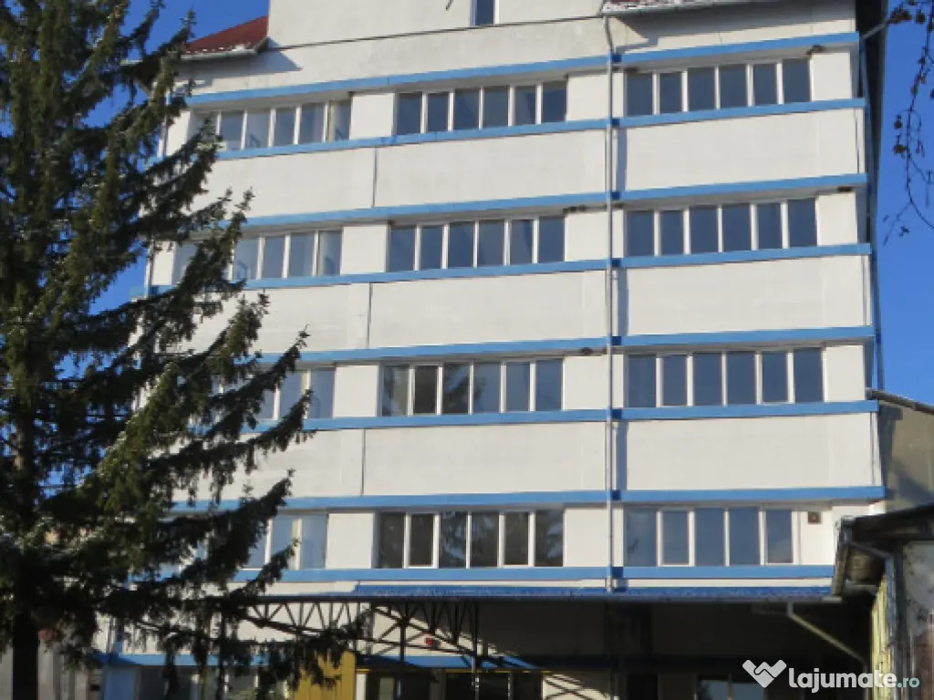 Cladire industriala in Curtea de Arges, 700000 EURO