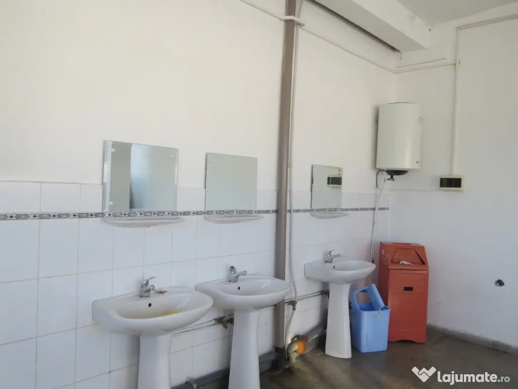 Cladire industriala in Curtea de Arges, 700000 EURO