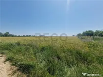 RECO teren intravilan in Fughiu 9 e/mp