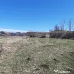 Teren extravilan 1.000 mp Valea Draganului