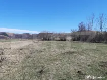 Teren extravilan 1.000 mp Valea Draganului